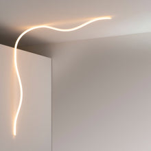 Load image into Gallery viewer, La Linea Outdoor LED Ceiling / Wall Light.
