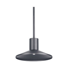 Load image into Gallery viewer, Ash Outdoor LED Pendant Light in Low Output/Charcoal/2700K.