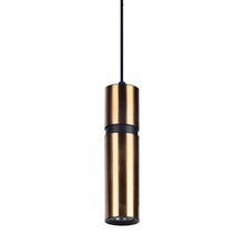 Load image into Gallery viewer, Cicada Pendant Light in Brass/Black.