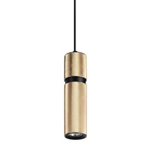 Load image into Gallery viewer, Cicada Pendant Light in Knurled Brass with Black Accents.