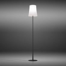 Load image into Gallery viewer, Birdie Easy LED Floor Lamp in Black.