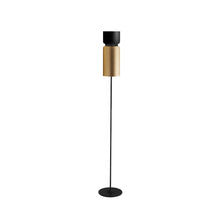 Load image into Gallery viewer, Aspen F17 Floor Lamp in Black/Brass.
