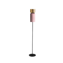 Load image into Gallery viewer, Aspen F17 Floor Lamp in Brass/Rose.