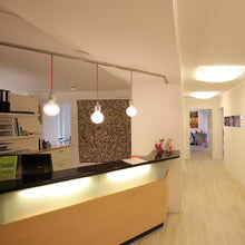 Load image into Gallery viewer, Ilde S1 Pendant Light in office.