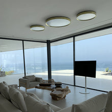Load image into Gallery viewer, Lite Hole C/W LED Ceiling / Wall Light in living room.