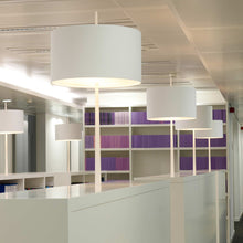 Load image into Gallery viewer, Lola T Table Lamp in library.