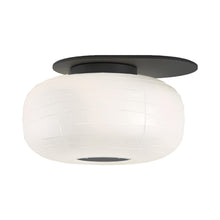 Load image into Gallery viewer, Misko C/W Ceiling / Wall Light.
