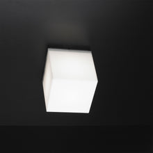 Load image into Gallery viewer, Q.Bo C/W Ceiling / Wall Light in Detail.