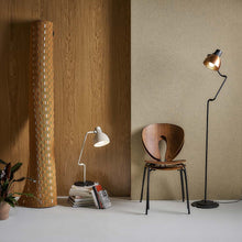 Load image into Gallery viewer, Blux System F Floor Lamp in living room.
