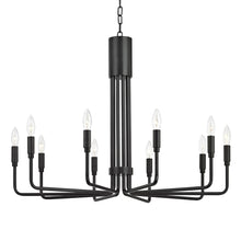 Load image into Gallery viewer, Brigitte Pendant Light in Old Bronze/10-Light.