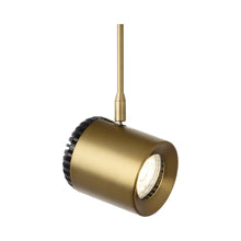 Load image into Gallery viewer, Burk LED Head in Aged Brass.