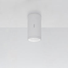 Load image into Gallery viewer, Calumet Outdoor LED Ceiling Light in White Ral9002/Large (3000K).