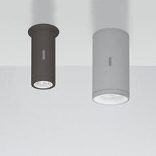 Load image into Gallery viewer, Calumet Outdoor LED Ceiling Light.