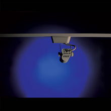 Load image into Gallery viewer, Colored Lens Accessory in Detail.
