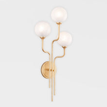 Load image into Gallery viewer, Onyx Bath Wall Light in Detail