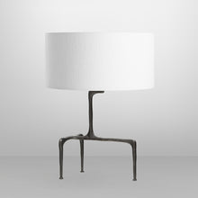 Load image into Gallery viewer, Braque Table Lamp in Detail.