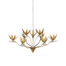 Load image into Gallery viewer, Paradiso Chandelier in Detail.