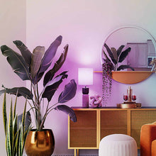 Load image into Gallery viewer, DALS Connect Pro Smart A21 LED Bulb in living room.