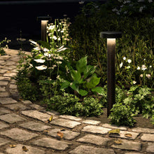 Load image into Gallery viewer, Flux LED Path Light Outside Area.