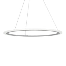 Load image into Gallery viewer, Discovery LED Pendant Light Additional image.