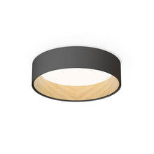 Load image into Gallery viewer, Duo LED Flush Mount Ceiling Light.