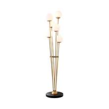 Load image into Gallery viewer, Tortora Floor Lamp.