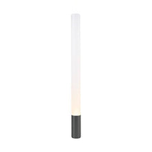 Load image into Gallery viewer, Elise Floor Lamp in Black/Aluminum (Large).