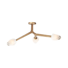 Load image into Gallery viewer, Blossom Flush Mount Ceiling Light in Natural Aged Brass.