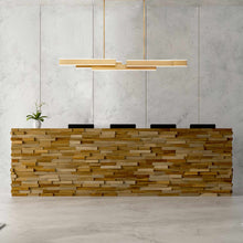 Load image into Gallery viewer, Cameno LED Linear Pendant Light in living room.