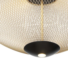 Load image into Gallery viewer, Park LED Pendant Light in Detail.