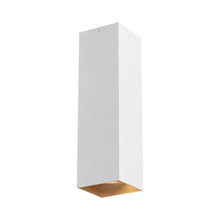 Load image into Gallery viewer, Exo LED Flush Mount Ceiling Light in Large/20-Degree/Matte White / Gold Haze.