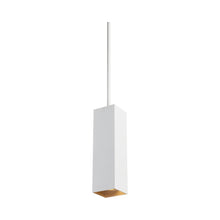 Load image into Gallery viewer, Exo LED Pendant Light in Matte White / Gold Haze.