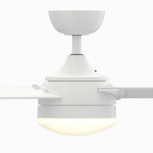 Load image into Gallery viewer, Xeno Outdoor LED Ceiling Fan in Detail.