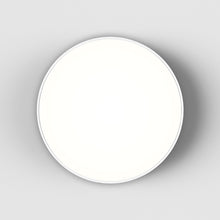 Load image into Gallery viewer, Febe LED Ceiling/Wall Light.