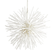 Load image into Gallery viewer, Finch Chandelier in Detail.