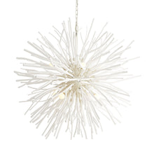 Load image into Gallery viewer, Finch Chandelier in Detail.