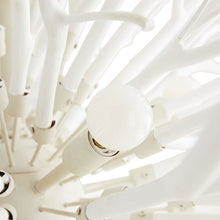 Load image into Gallery viewer, Finch Chandelier in Detail.