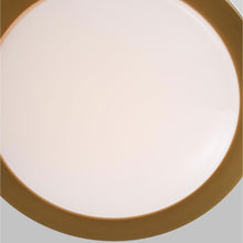 Load image into Gallery viewer, Monroe LED Flush Mount Ceiling Light in Detail.