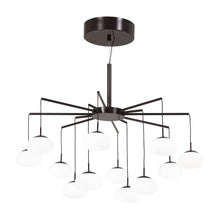 Load image into Gallery viewer, George's Web LED Chandelier (12-Light).