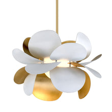 Load image into Gallery viewer, Ginger Pendant Light in Detail.