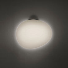 Load image into Gallery viewer, Gregg Ceiling/Wall Light in Mini/Graphite.