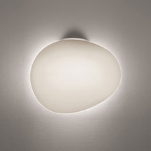 Load image into Gallery viewer, Gregg Ceiling/Wall Light in Small/White.