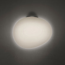 Load image into Gallery viewer, Gregg Ceiling/Wall Light in Small/Graphite.