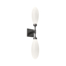 Load image into Gallery viewer, Fiori LED Wall Light in Graphite (2-Light).