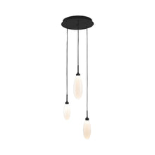 Load image into Gallery viewer, Fiori Round LED Multi Light Pendant Light in Matte Black (3-Light).