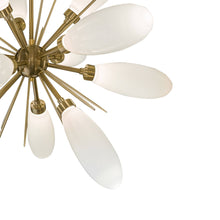 Load image into Gallery viewer, Fiori Starburst LED Chandelier in Detail.