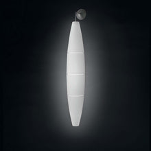 Load image into Gallery viewer, Havana Ceiling / Wall Light - Additional image.