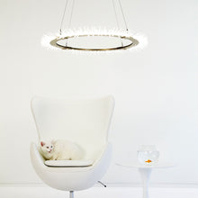 Load image into Gallery viewer, Anemone LED Pendant Light in living room.
