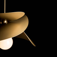 Load image into Gallery viewer, Hibiscus Outdoor Pendant Light in Detail.