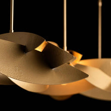 Load image into Gallery viewer, Koi Pendant Light in Detail.